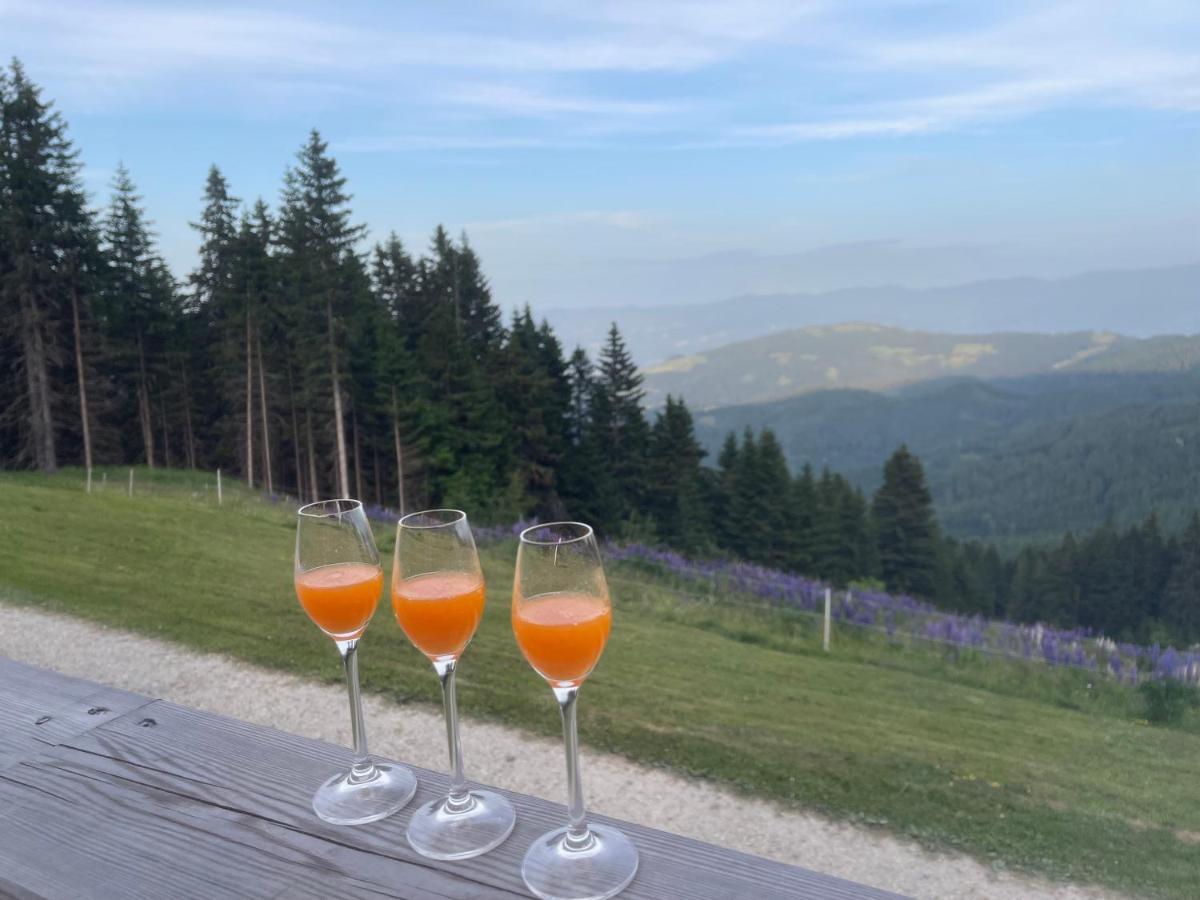 Almhaus-Klippitz Villa Klippitztorl Dış mekan fotoğraf